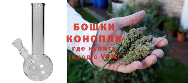 бошки Белокуриха