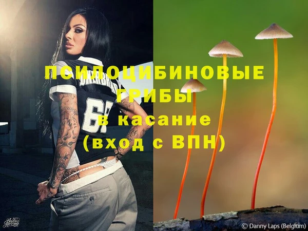 бошки Белокуриха