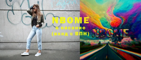 дживик Богородицк