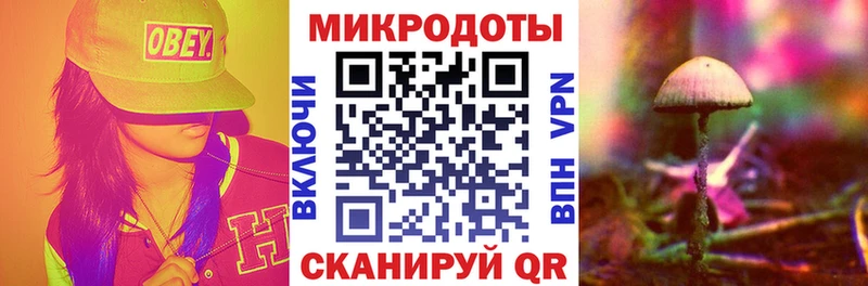 Псилоцибиновые грибы прущие грибы  Ворсма 